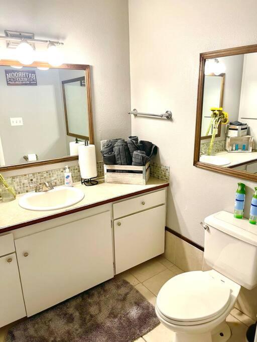 Town & Country Hideaway - 1Br/1Ba, 20 Min Famu/Fsu Διαμέρισμα Ταλαχάσι Εξωτερικό φωτογραφία