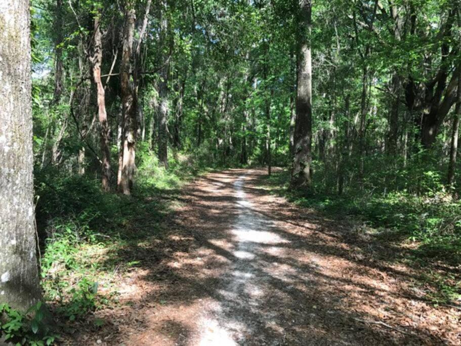 Town & Country Hideaway - 1Br/1Ba, 20 Min Famu/Fsu Διαμέρισμα Ταλαχάσι Εξωτερικό φωτογραφία